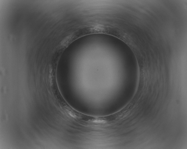 X0000054420223200508121800