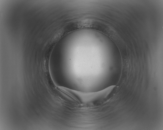 X0000054420224200508121800