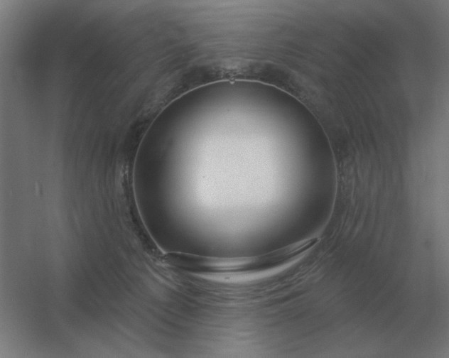 X0000054420225200508121800