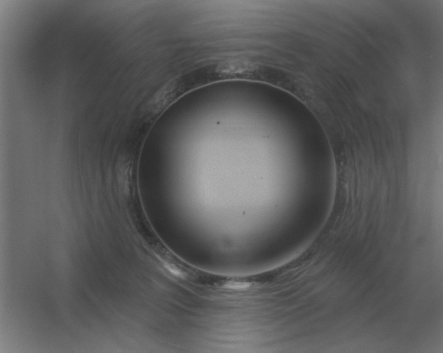 X0000054420227200508121800