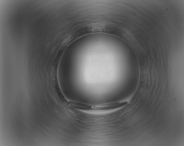 X0000054420228200508121800