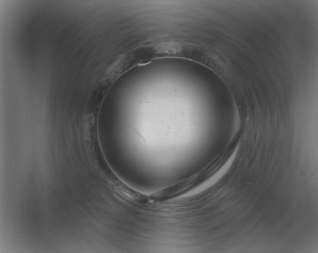 X0000054420229200508121800