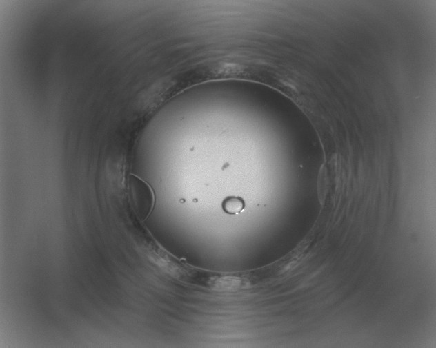 X0000054420230200508121800