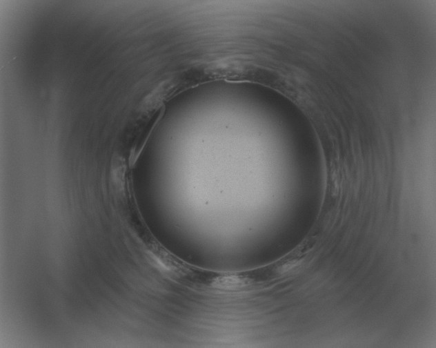 X0000054420231200508121800