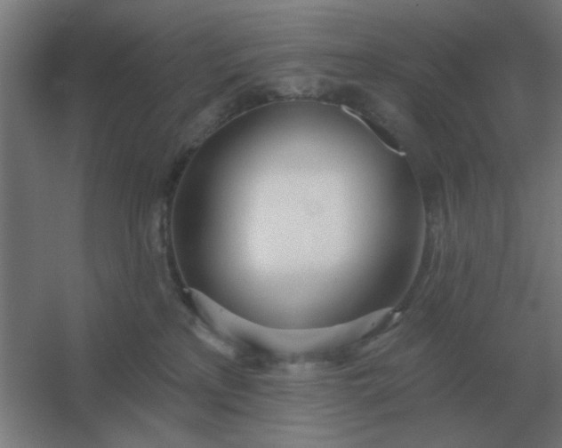 X0000054420233200508121800