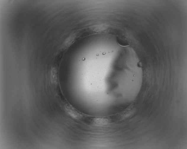 X0000054420234200508121759