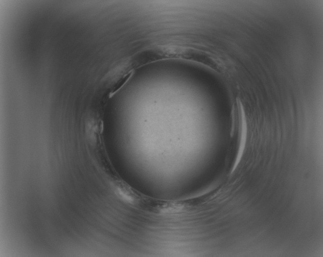 X0000054420235200508121759