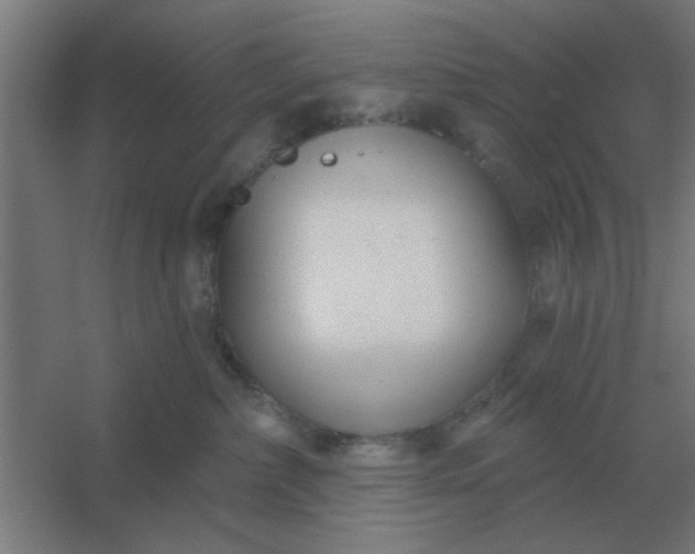 X0000054420236200508121759