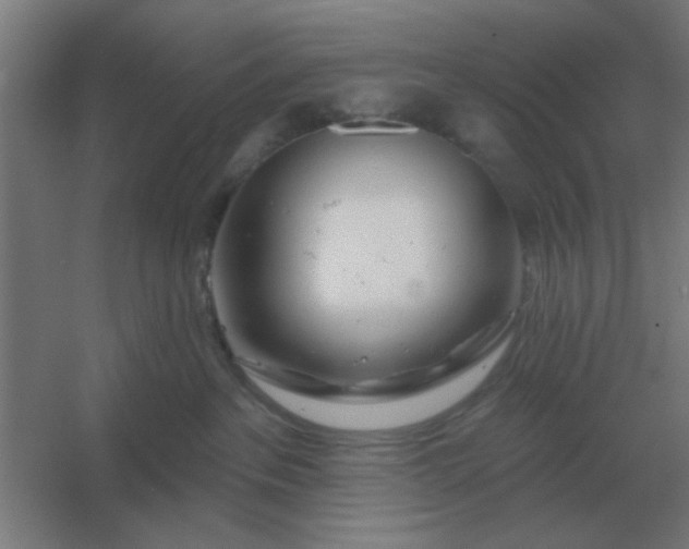 X0000054420237200508121759