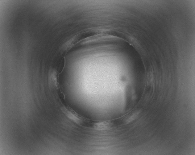 X0000054420238200508121759