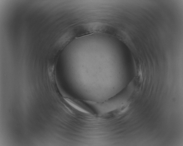 X0000054420239200508121759