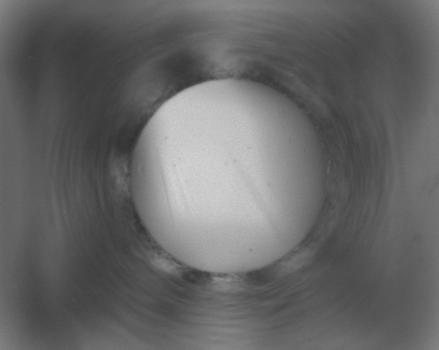 X0000054420240200508121759