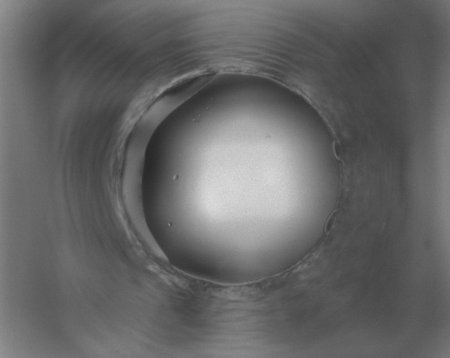 X0000054420241200508121759