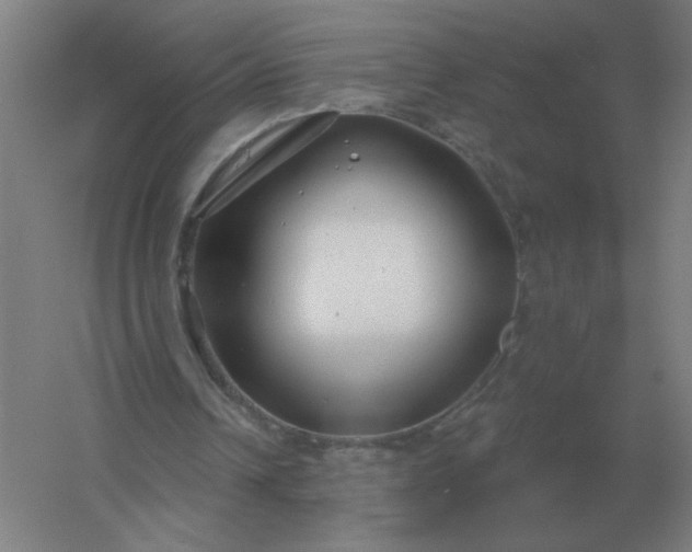 X0000054420242200508121759