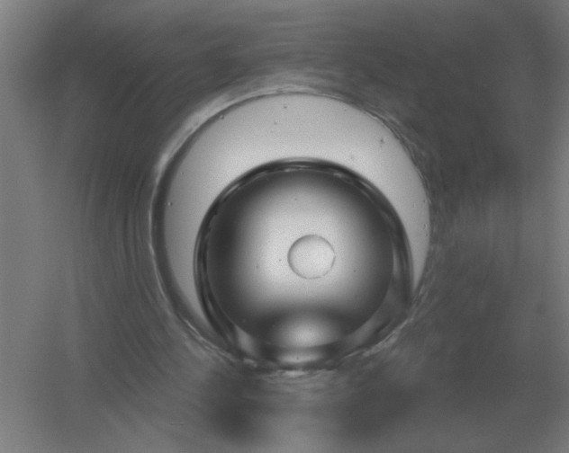 X0000054420244200508121759