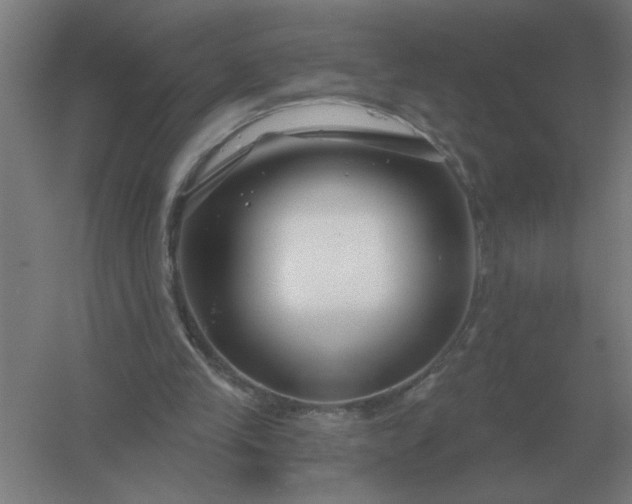 X0000054420245200508121759