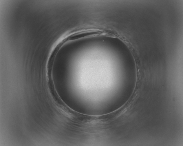 X0000054420246200508121759