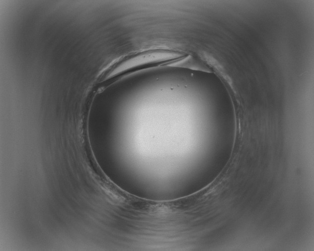 X0000054420249200508121759