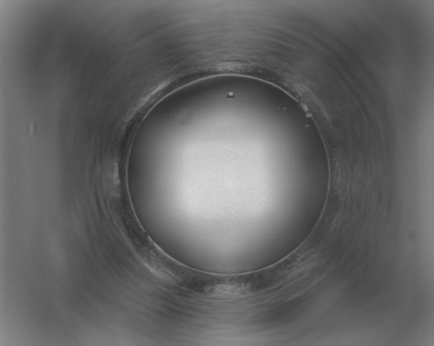 X0000054420251200508121759