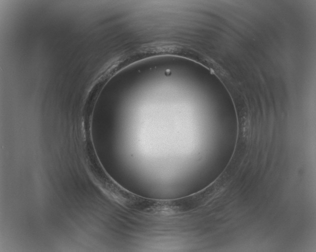 X0000054420254200508121759