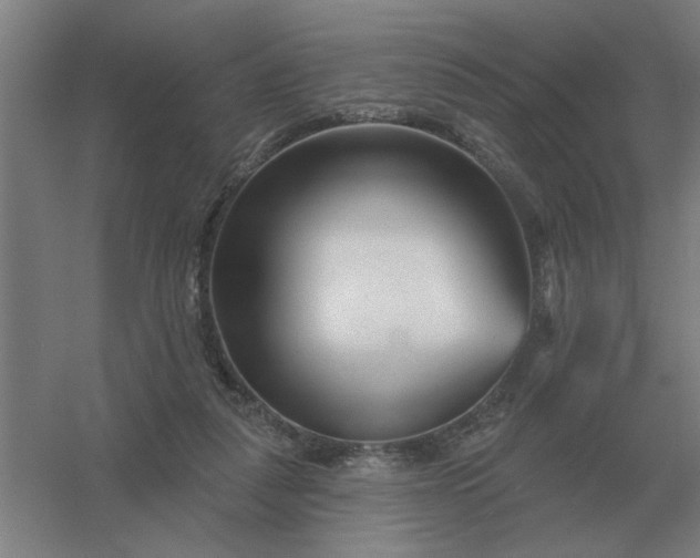 X0000054420259200508121759