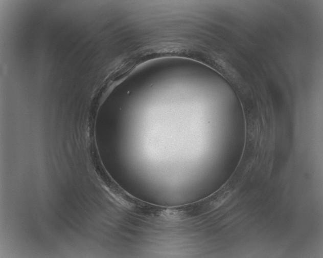 X0000054420261200508121759