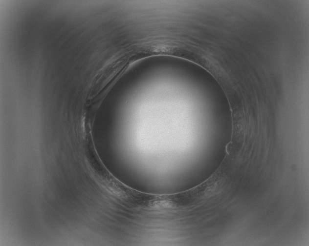 X0000054420262200508121759