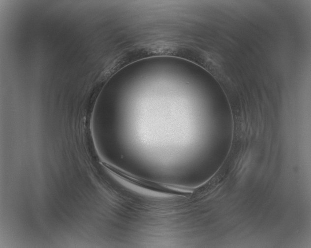 X0000054420263200508121759