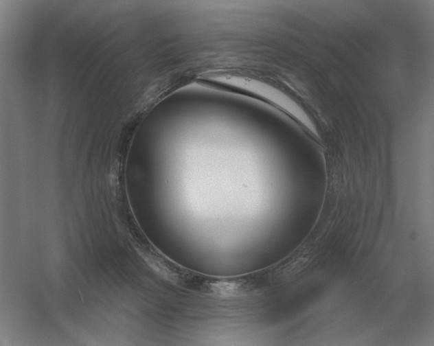 X0000054420265200508121759