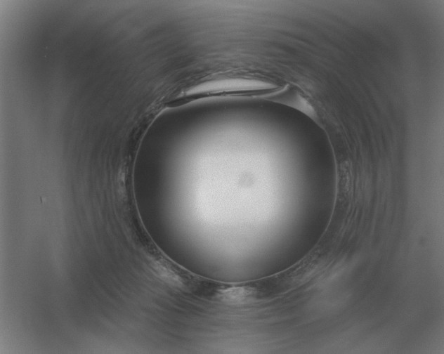 X0000054420269200508121759