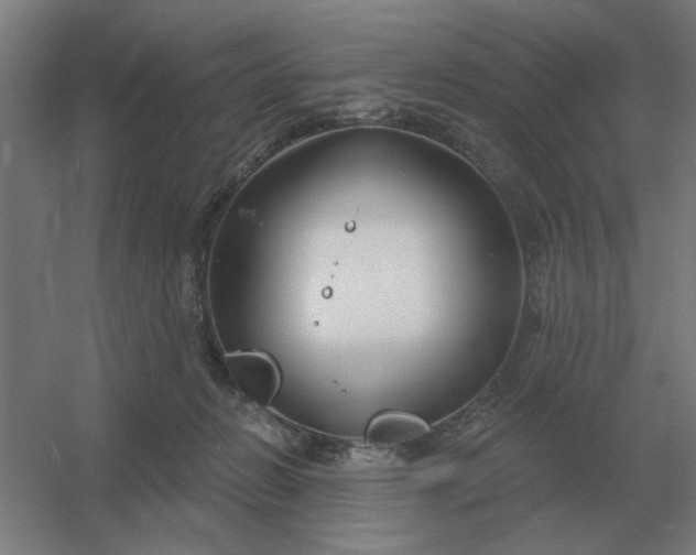 X0000054420270200508121759