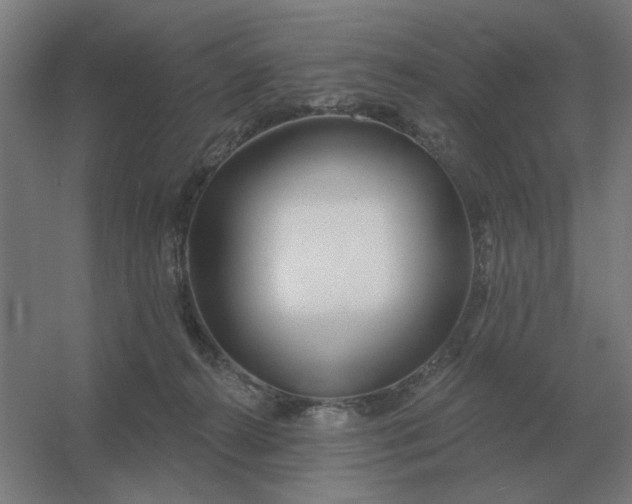 X0000054420272200508121759