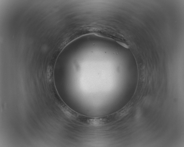 X0000054420273200508121759