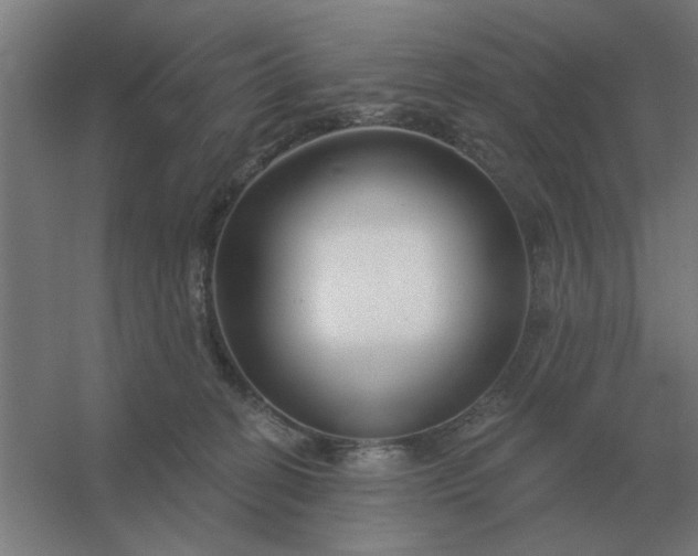 X0000054420274200508121759