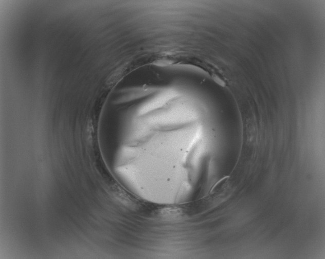 X0000054420279200508121759