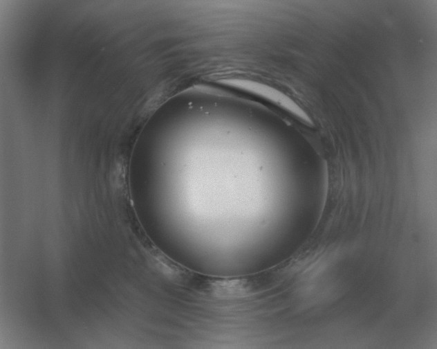 X0000054420281200508121759