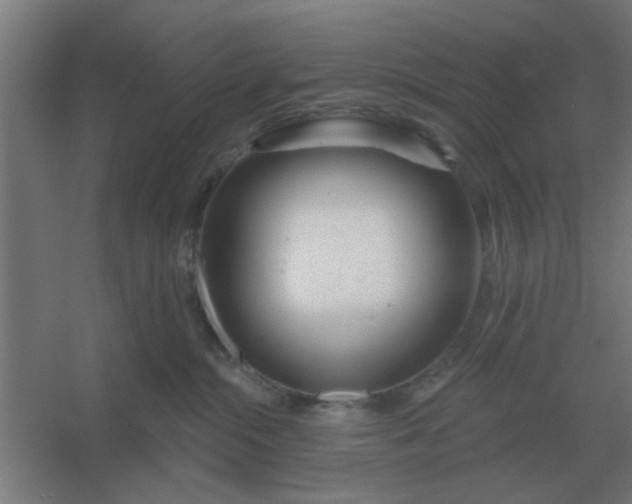 X0000054420284200508121759