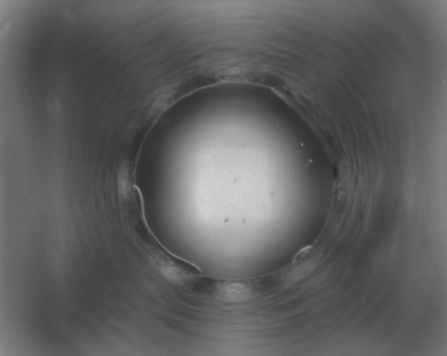 X0000054420287200508121759