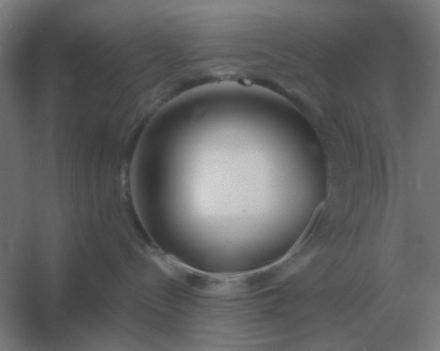 X0000054420288200508121759