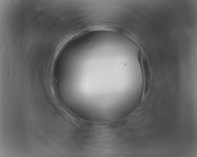 X0000054420289200508121759