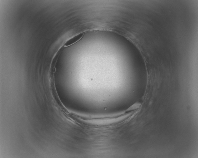 X0000054420290200508121759