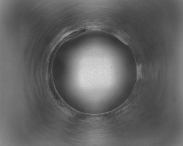 X0000054420291200508121759