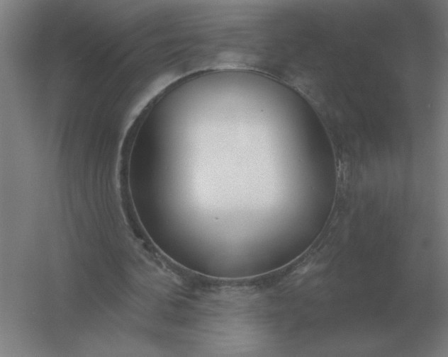 X0000054420292200508121758