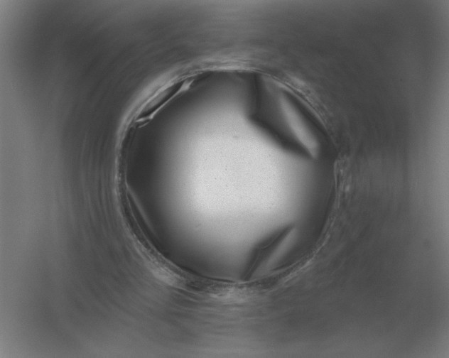 X0000054420293200508121758