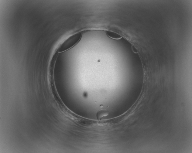 X0000054420294200508121758