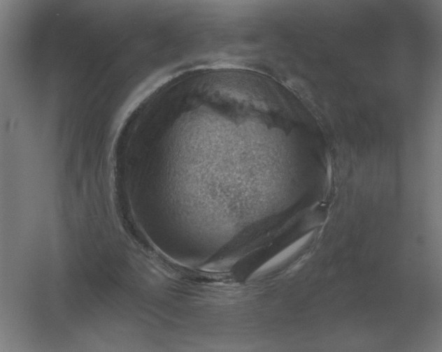 X0000054420295200508121758