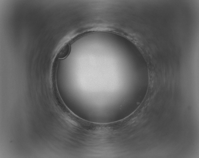 X0000054420296200508121758