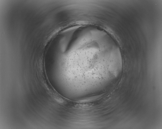 X0000054420297200508121758