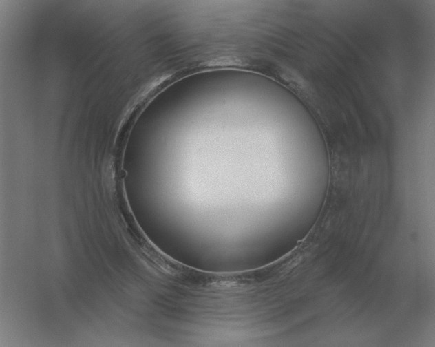 X0000054420298200508121758