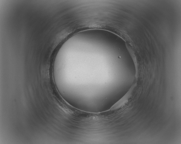 X0000054420299200508121758